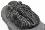 Prone, Drotops Trilobite - Excellent Eye Detail #230485-4